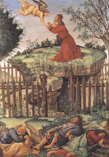 Sandro Botticelli Prayer in the Garden oil painting picture
